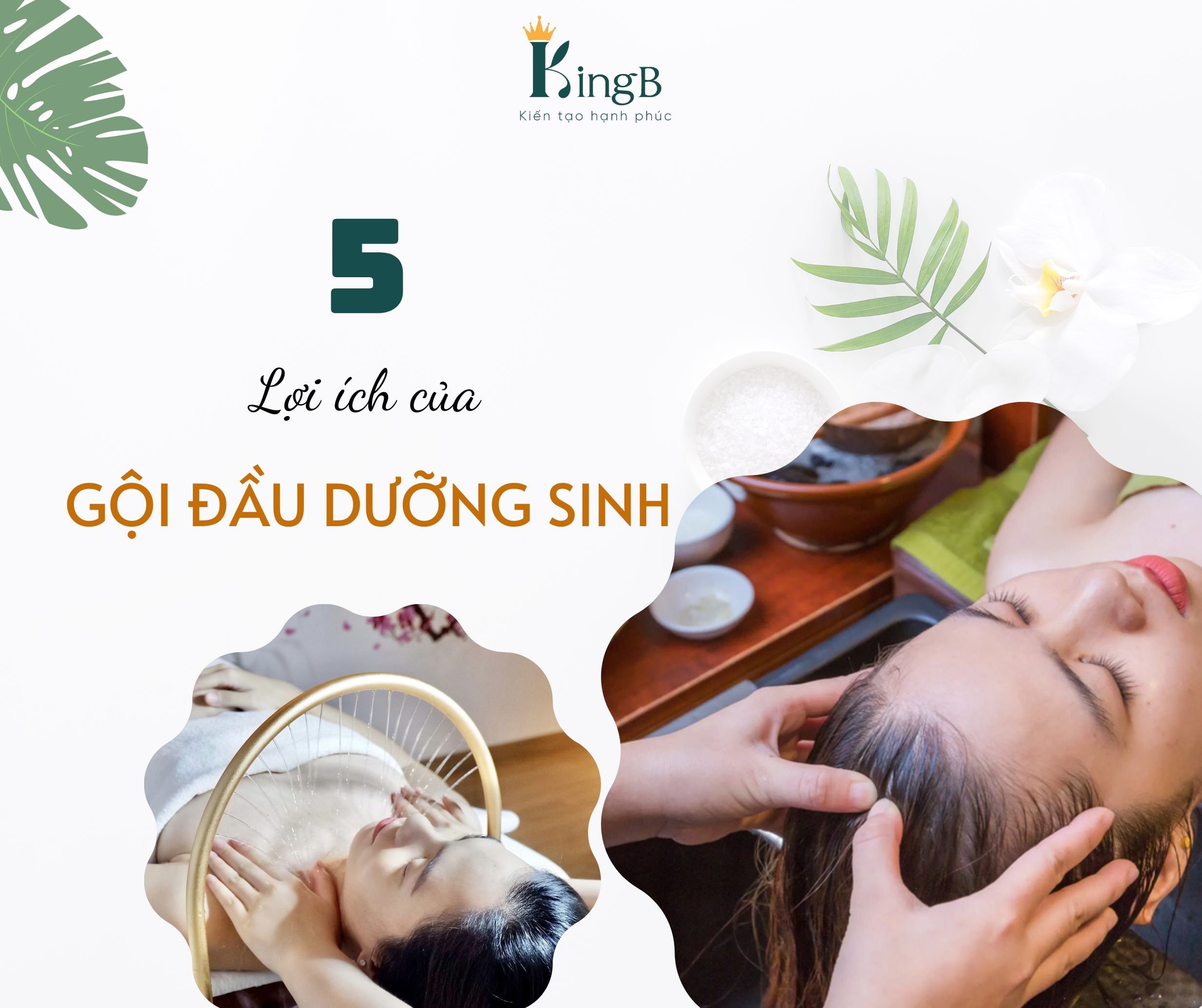 Gội dầu cặp